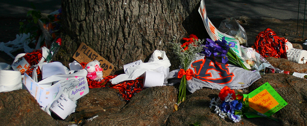 Toomer's Oak Trees