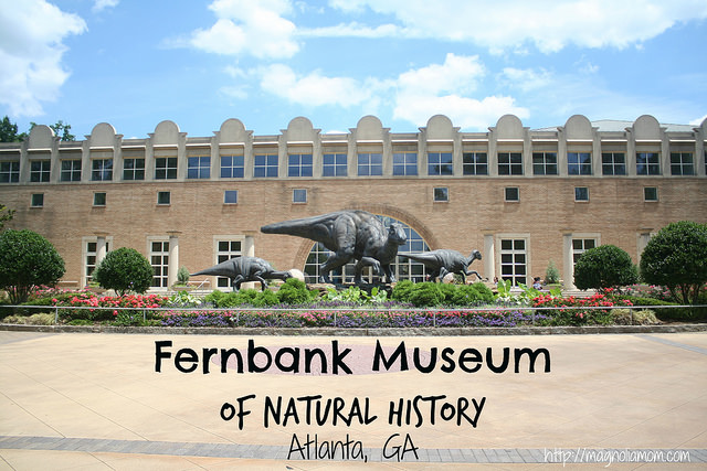 Fernbank Museum Atlanta