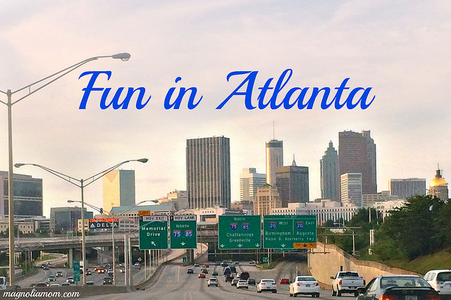 Atlanta Staycation 2014 Wrap Up