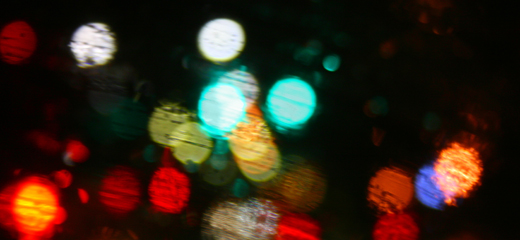 41/365.2011 {Bokeh in the Rain}