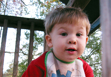 Monkey boy