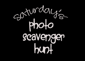 Photo Hunt: Signs